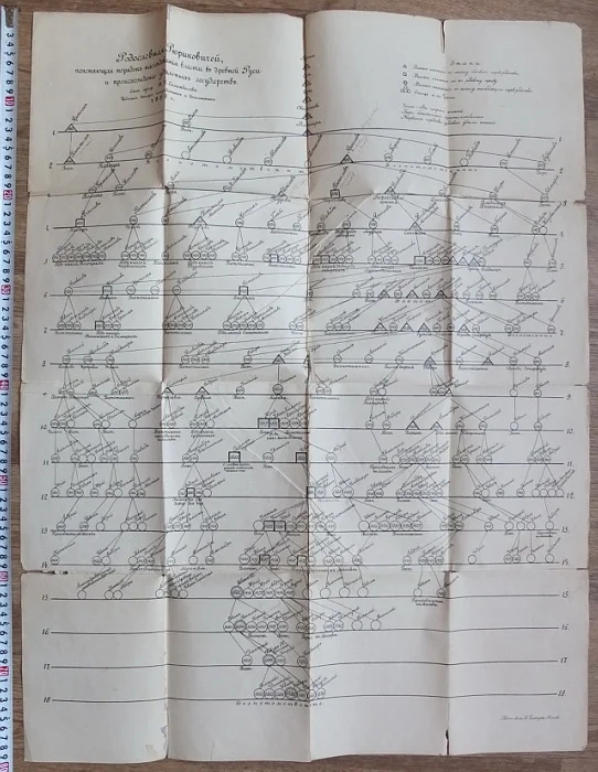 плакат Родословная Рюриковичей, генеалогическое дерево,издание1896 года - изображение 1