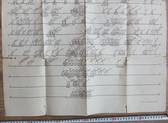 плакат Родословная Рюриковичей, генеалогическое дерево,издание1896 года - миниатюра 8