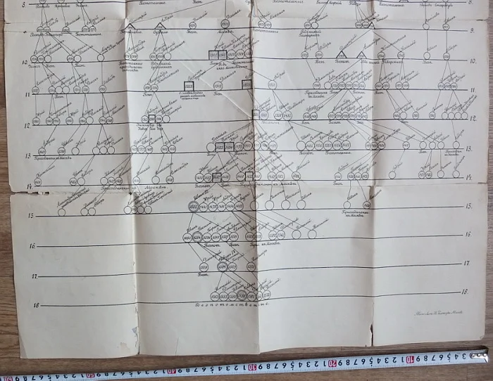 плакат Родословная Рюриковичей, генеалогическое дерево,издание1896 года - миниатюра 9