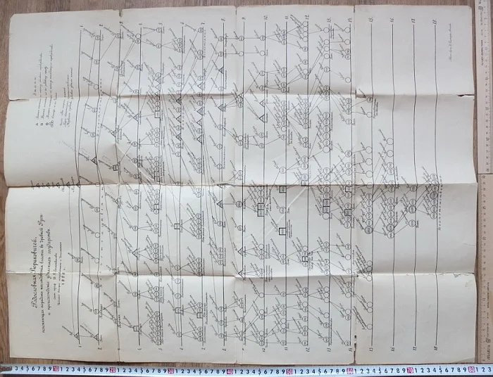 плакат Родословная Рюриковичей, генеалогическое дерево,издание1896 года - миниатюра 10