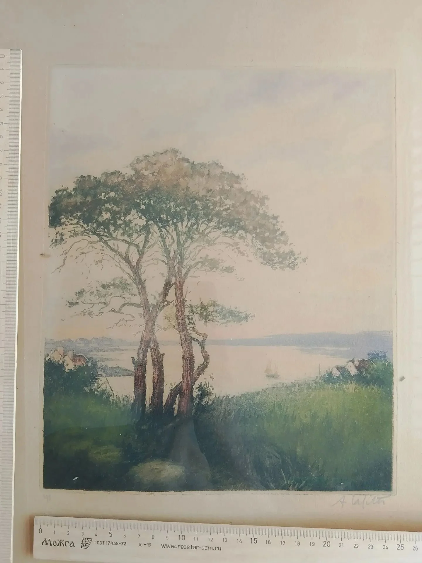 графика Дерево у воды, бумага, смешанная техника, авторская подпись, автограф, 19 в