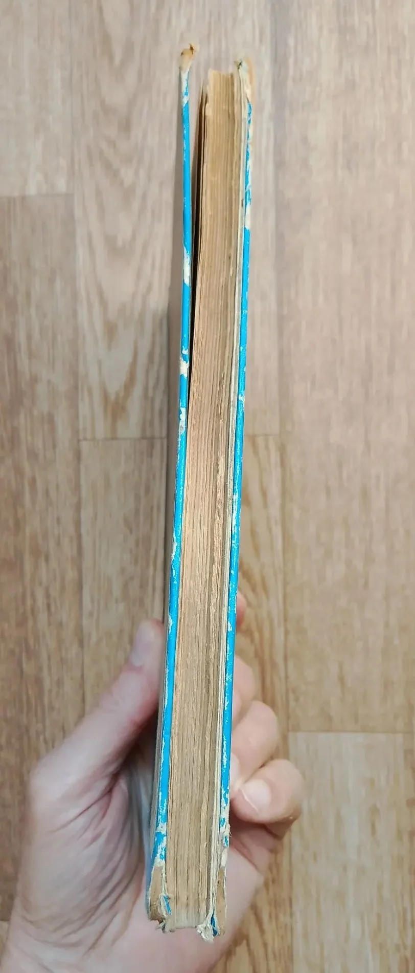 книга Начальный курс географии, 1918 год - миниатюра 3