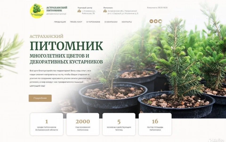 Разработка сайтов. Продвижение - миниатюра 2