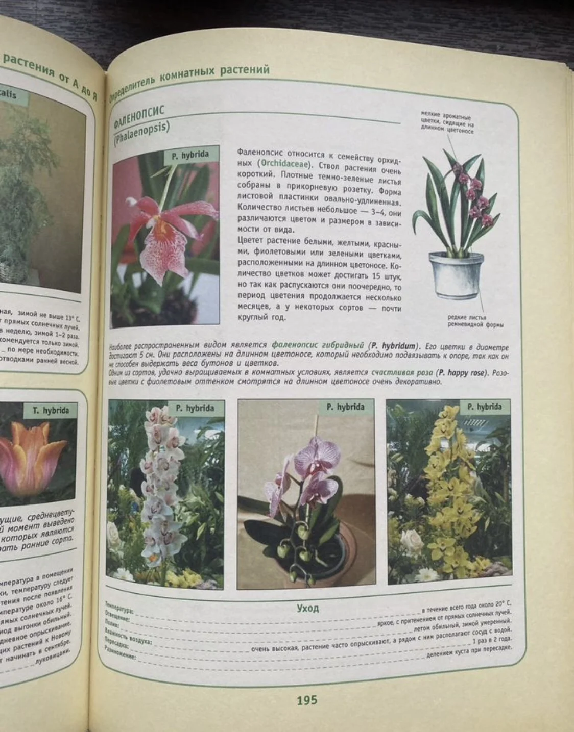 Книга комнатные растения от А до Я - миниатюра 2