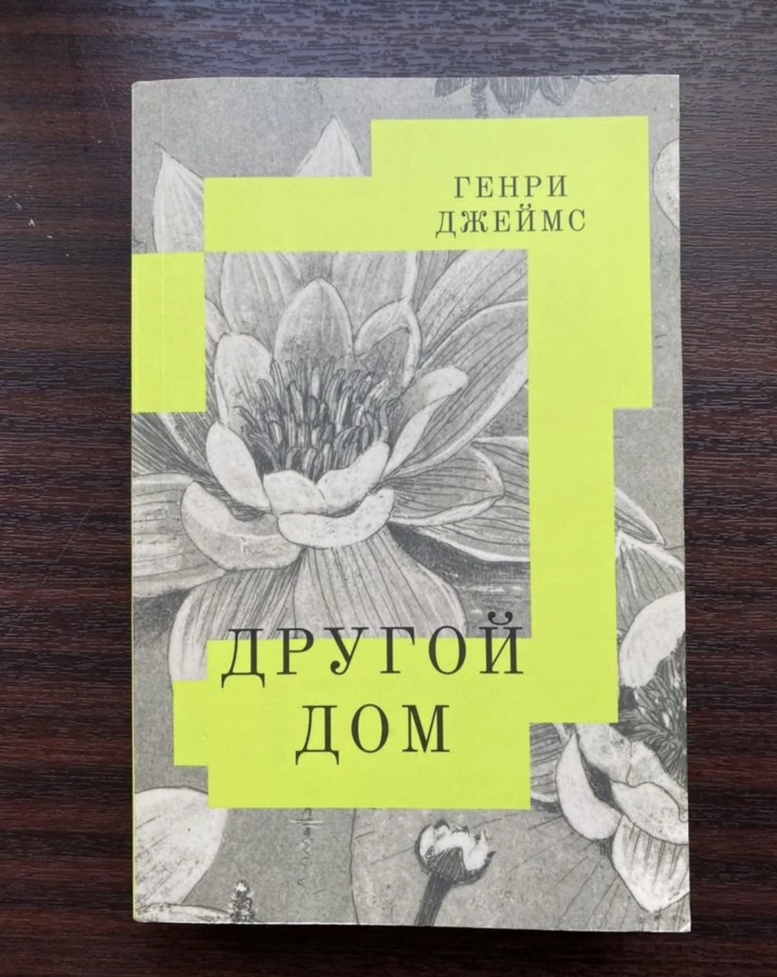 Другой дом Генри Джеймс - изображение 1