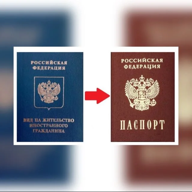 Заявление на Квоту, РВП, ВНЖ, Гражданство - изображение 1