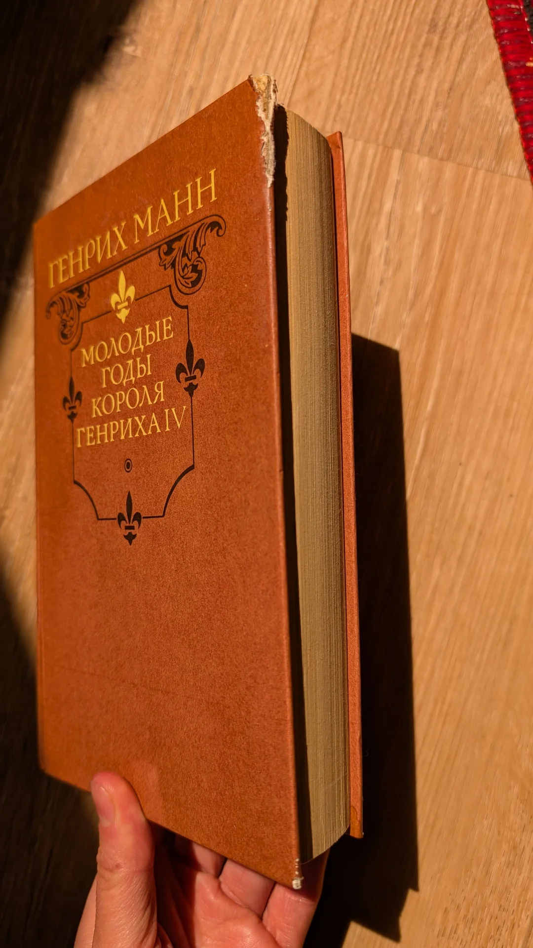 Генрих Манн "Молодые годы Генриха IV" - миниатюра 4