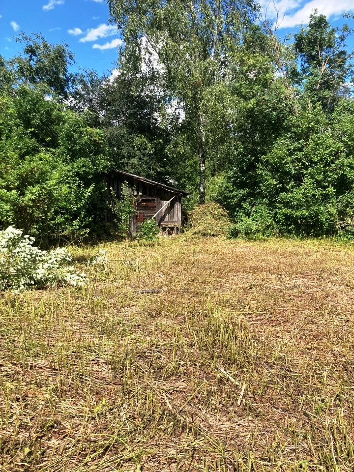 Продаю дачу недорого - миниатюра 14