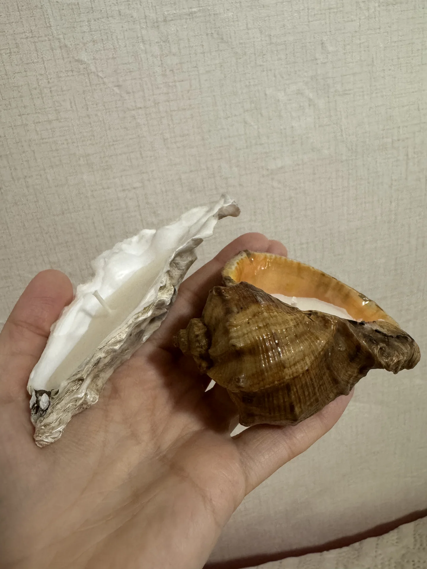 Свеча в ракушке - миниатюра 2