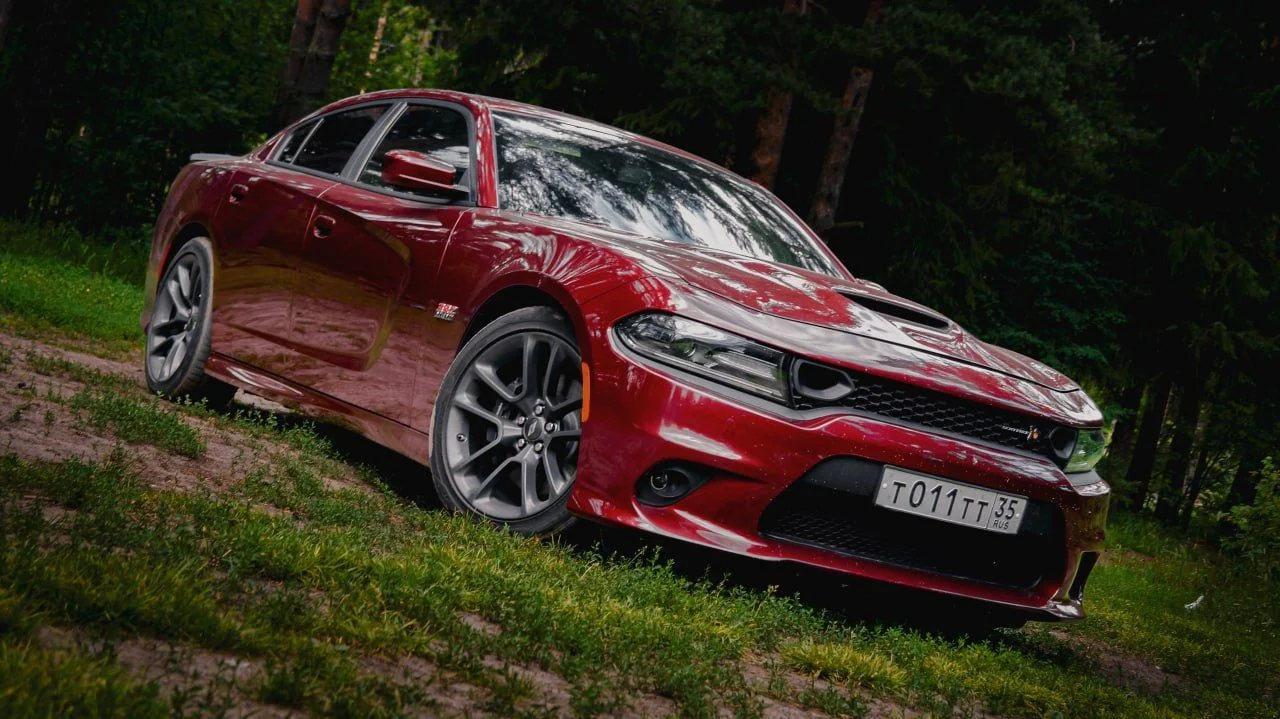 Автофотограф - миниатюра 22