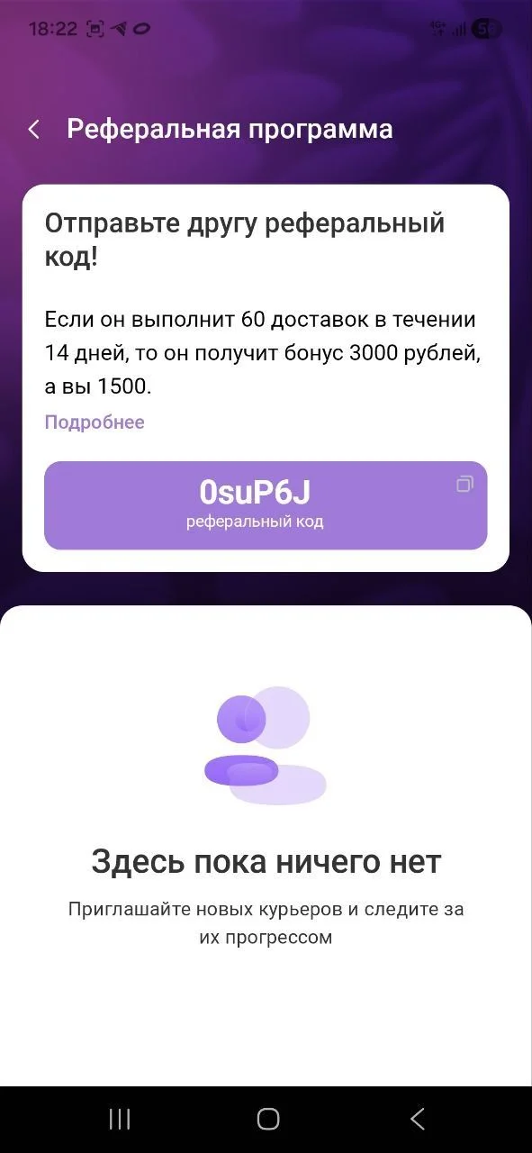 WB курьер, ПОДРАБОТКА