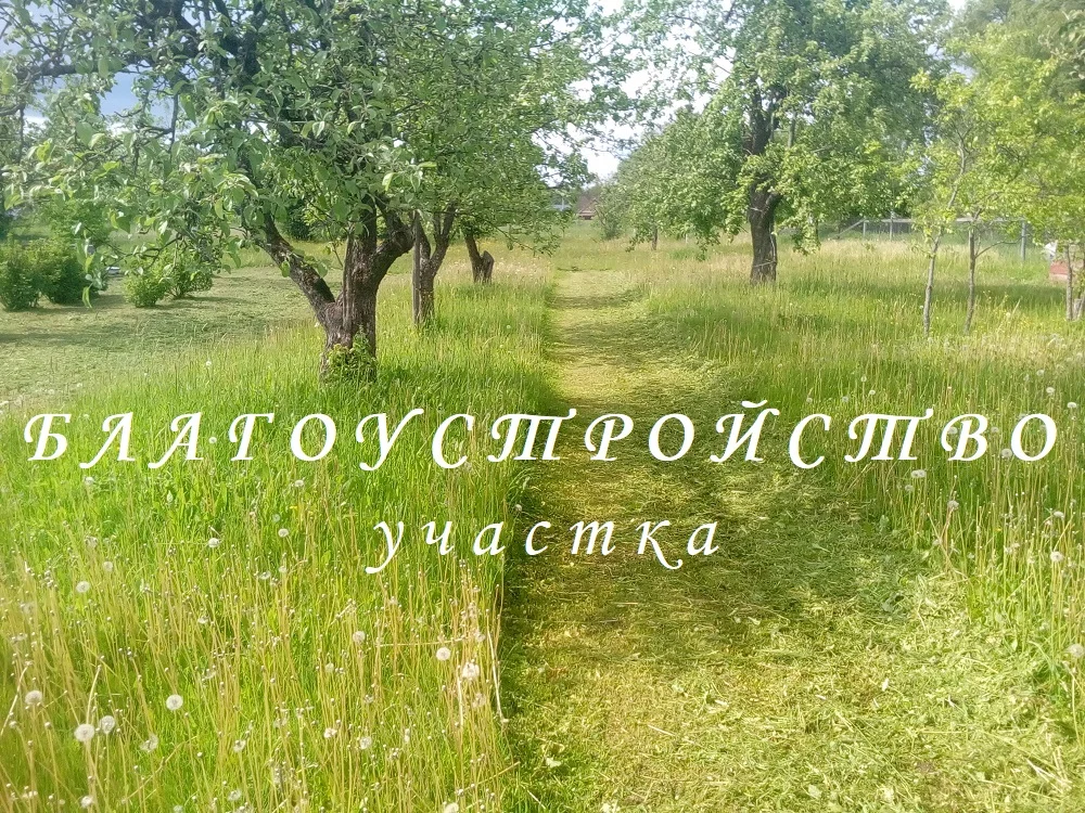 Благоустройство участка - изображение 1