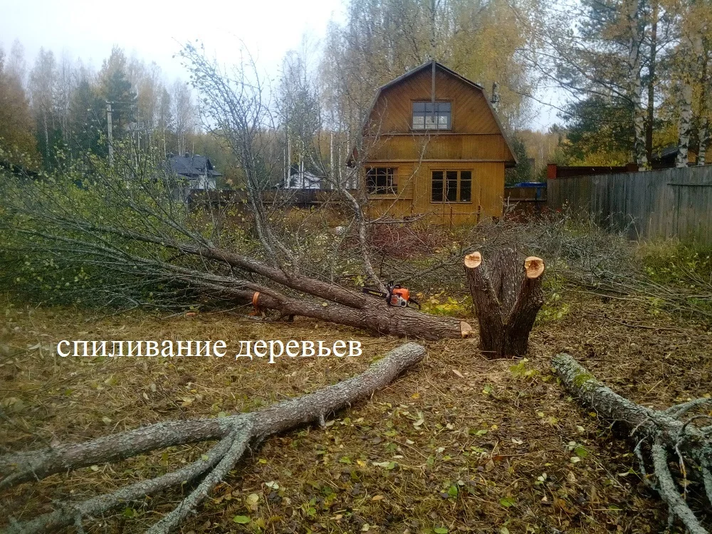 Благоустройство участка - миниатюра 4