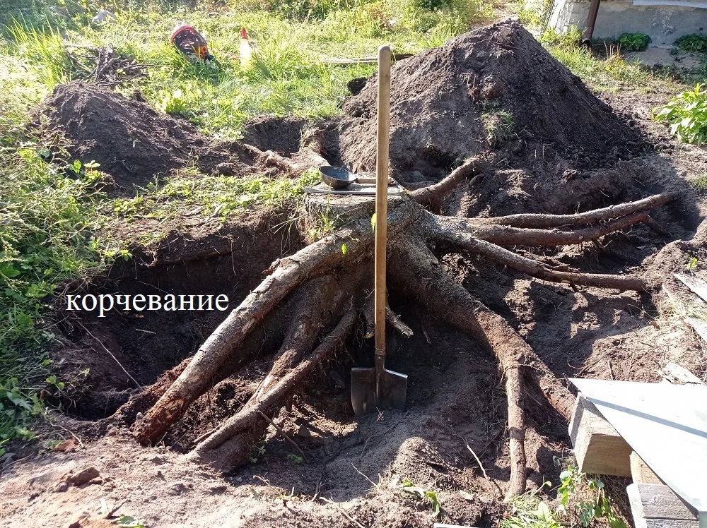 Благоустройство участка - миниатюра 5