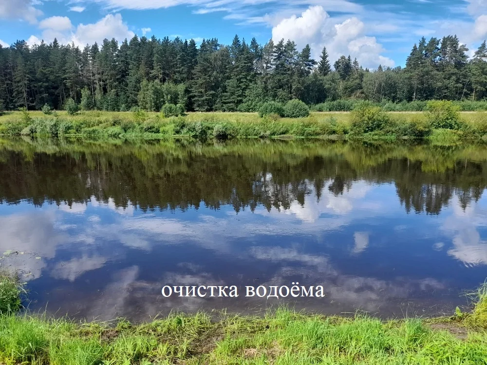 Благоустройство участка - миниатюра 10