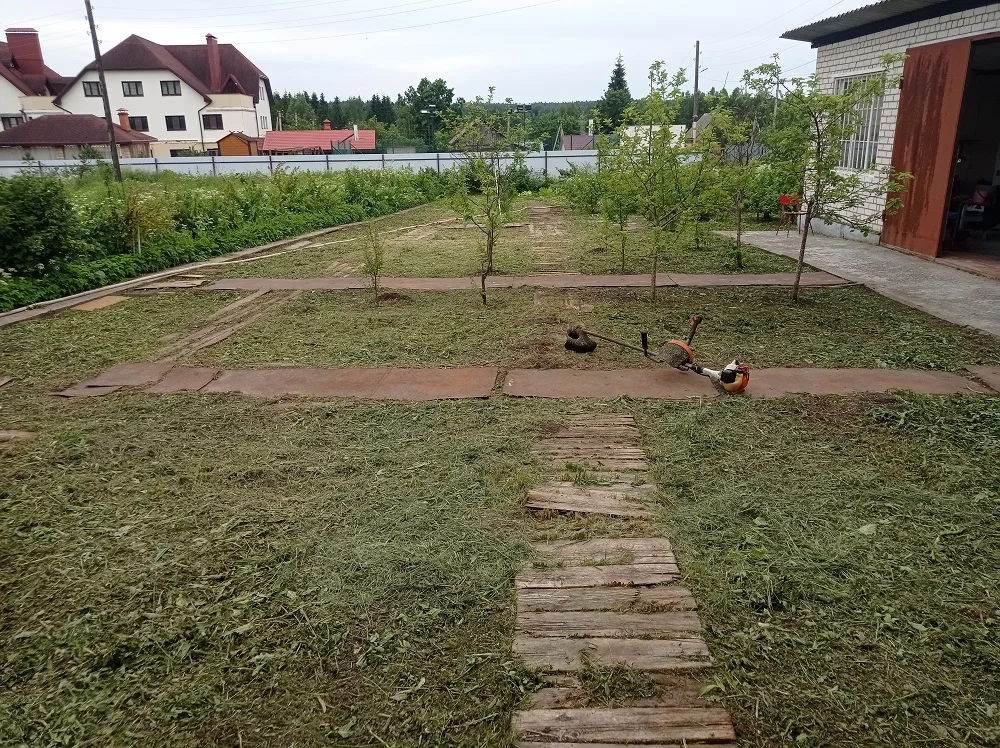 Покос травы - миниатюра 5