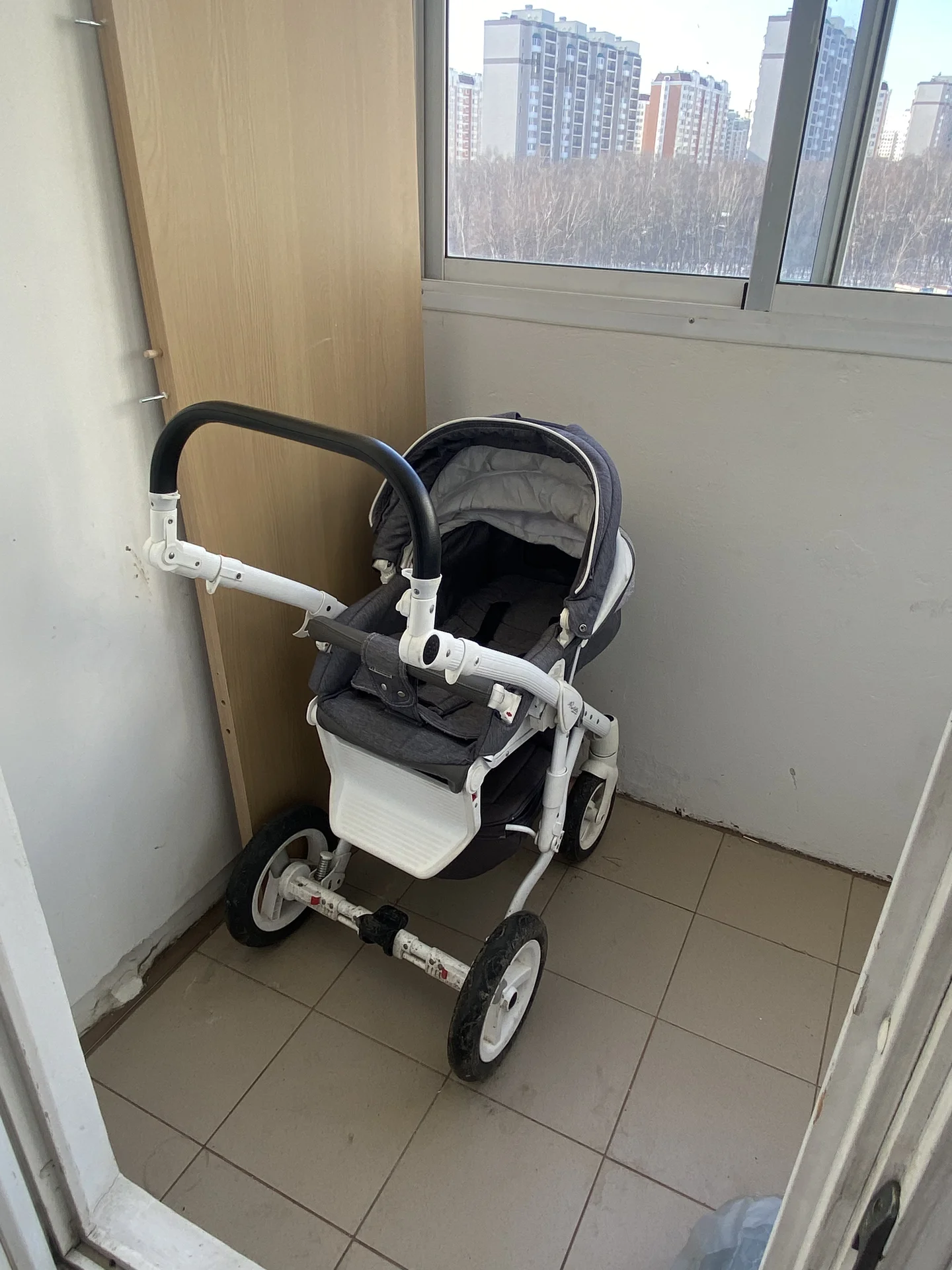 Коляска 2 в 1 adamex barletta - миниатюра 3