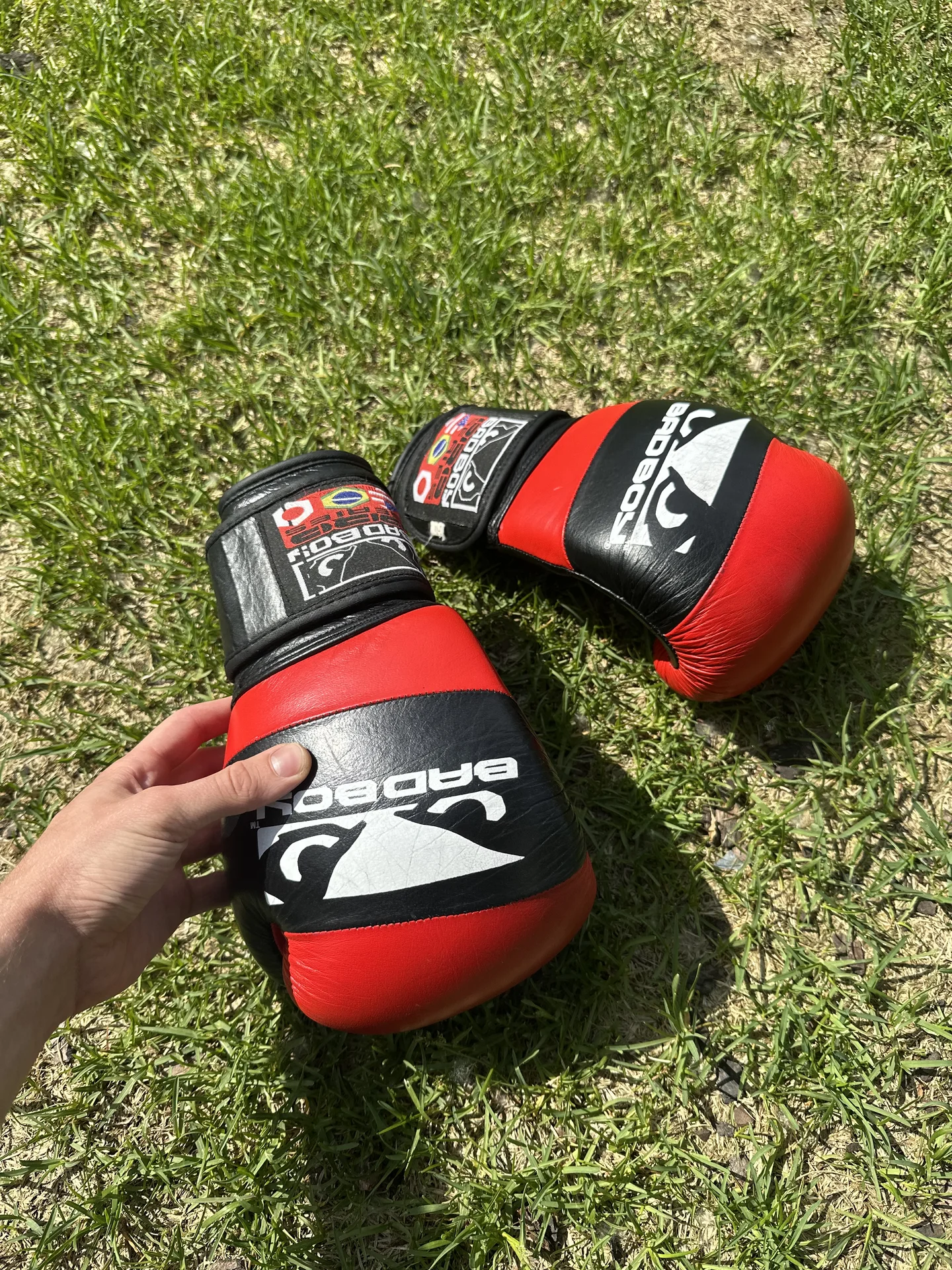 Боксерские перчатки 12 oz Bad Boy - изображение 1