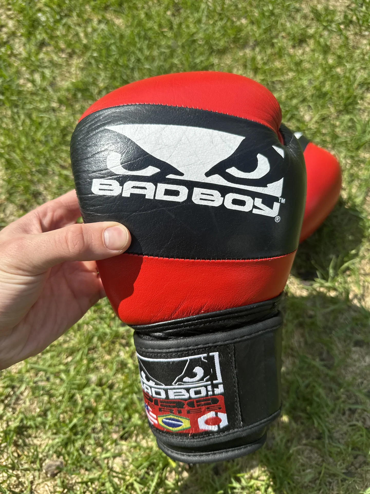 Боксерские перчатки 12 oz Bad Boy - миниатюра 2