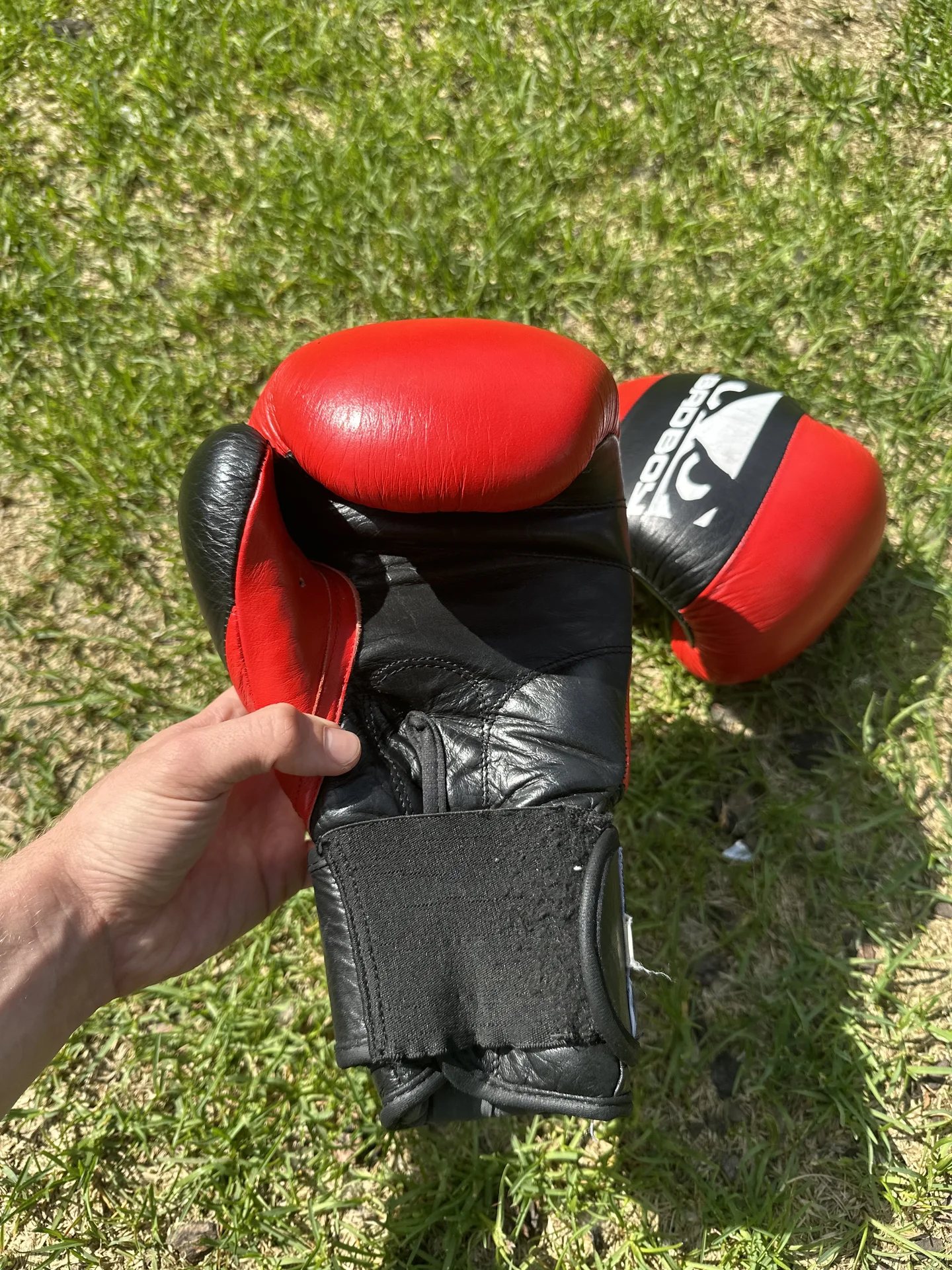 Боксерские перчатки 12 oz Bad Boy - миниатюра 4