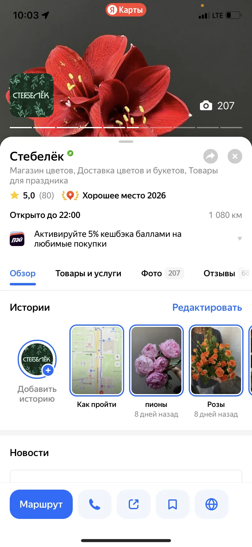 гоафический дизайней - миниатюра 4