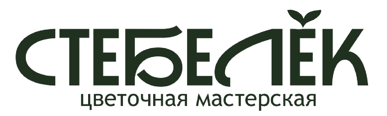 гоафический дизайней - миниатюра 11