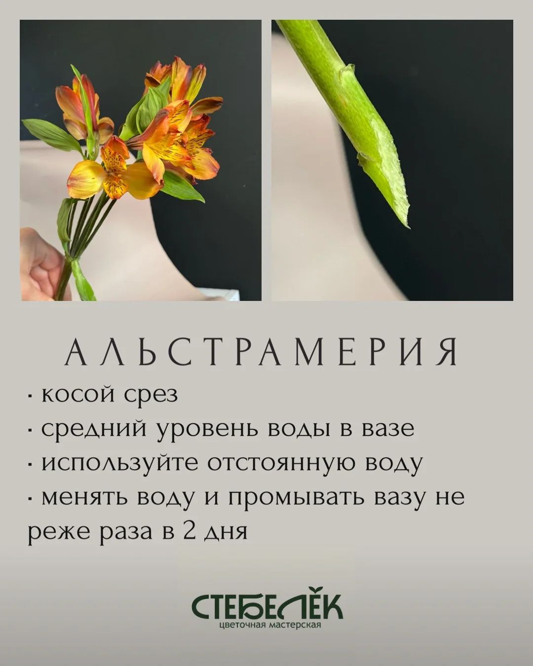 гоафический дизайней - миниатюра 13