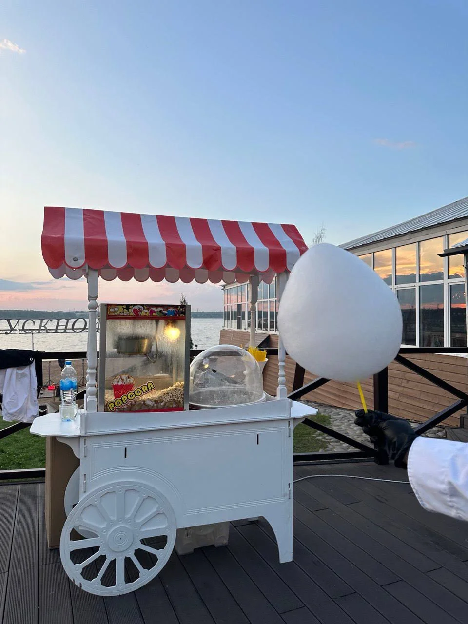 Сладкая вата и попкорн на мероприятия - миниатюра 3
