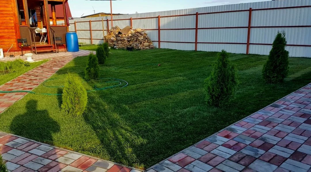 Укладка (посев) натурального газона - миниатюра 3