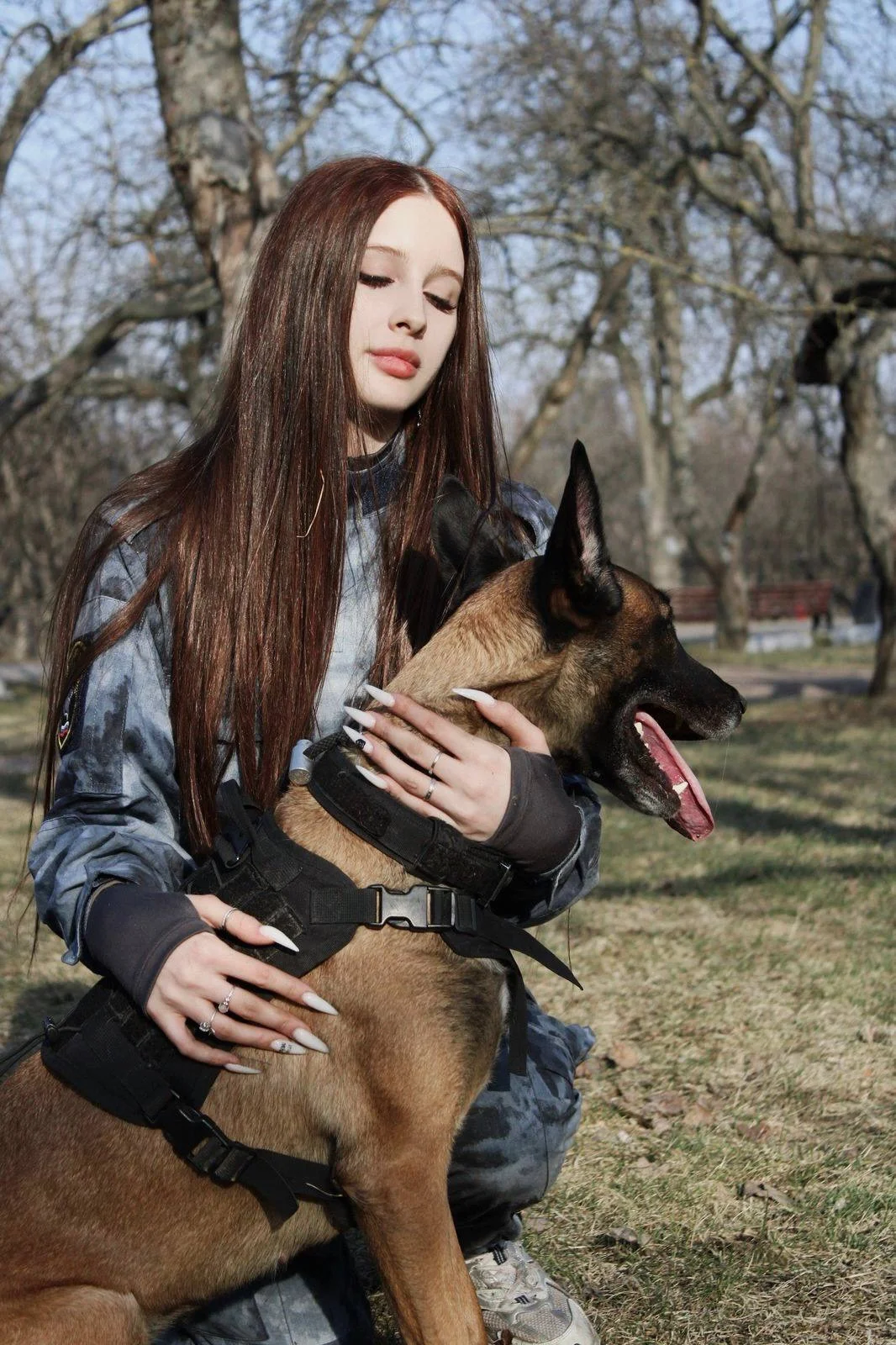 Кинолог, выгул собак, зооняня - изображение 1