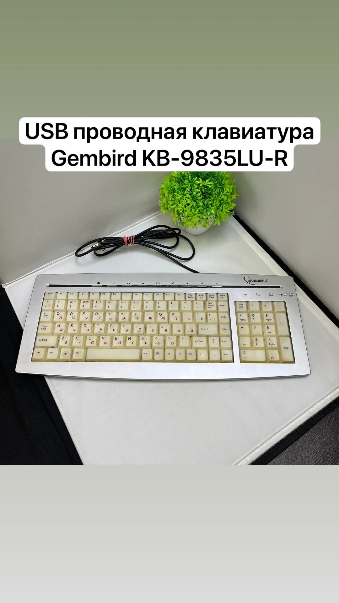 USB проводная клавиатура Gembird KB-9835LU-R - изображение 1