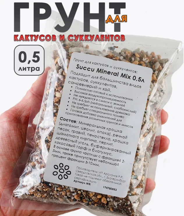 Кактус цветущий в керамическом кашпо - миниатюра 7