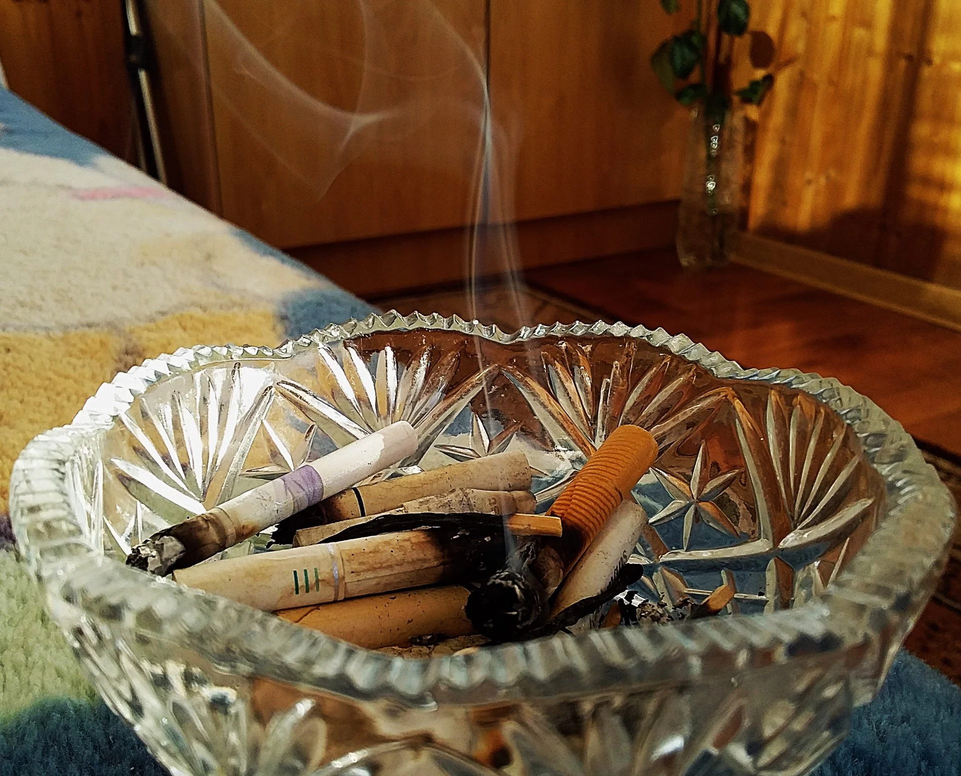 озонатор для очистки мяса, воды, овощей от токсино - миниатюра 4