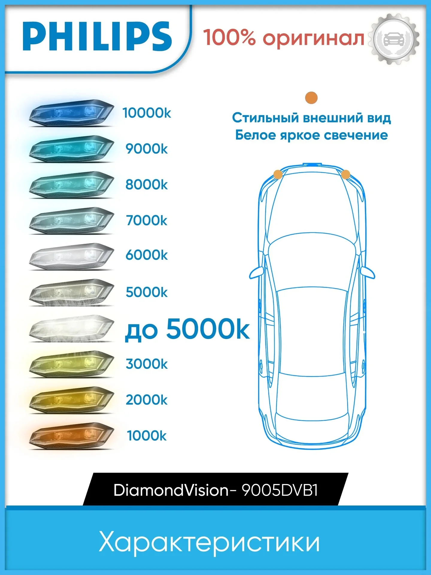 Philips Галогенная Лампа HB3 9005DVB1 - миниатюра 7