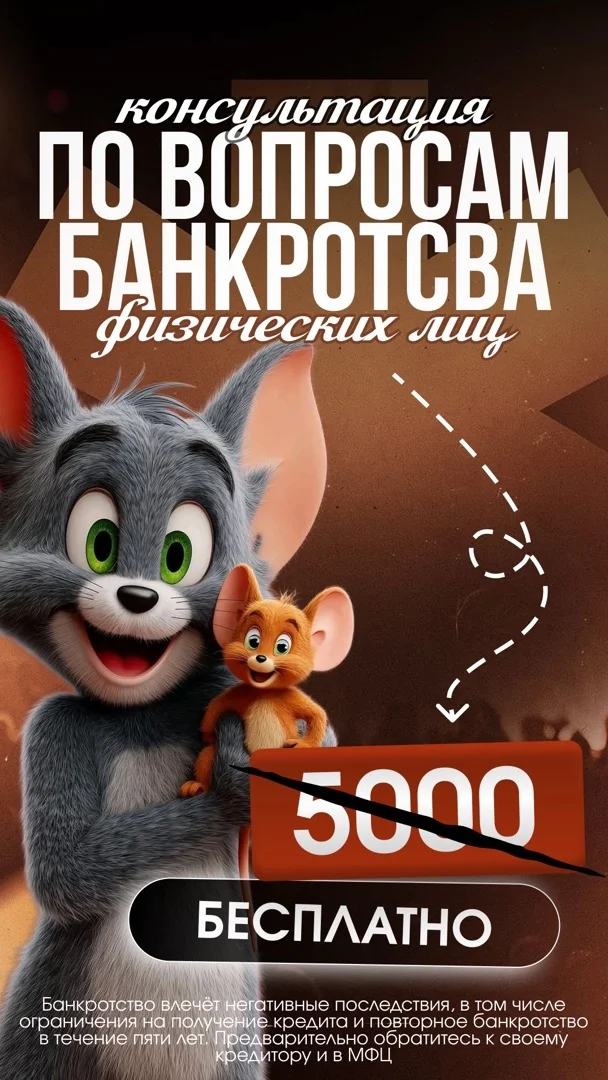 Списание долгов через процедуру банкротства - миниатюра 2