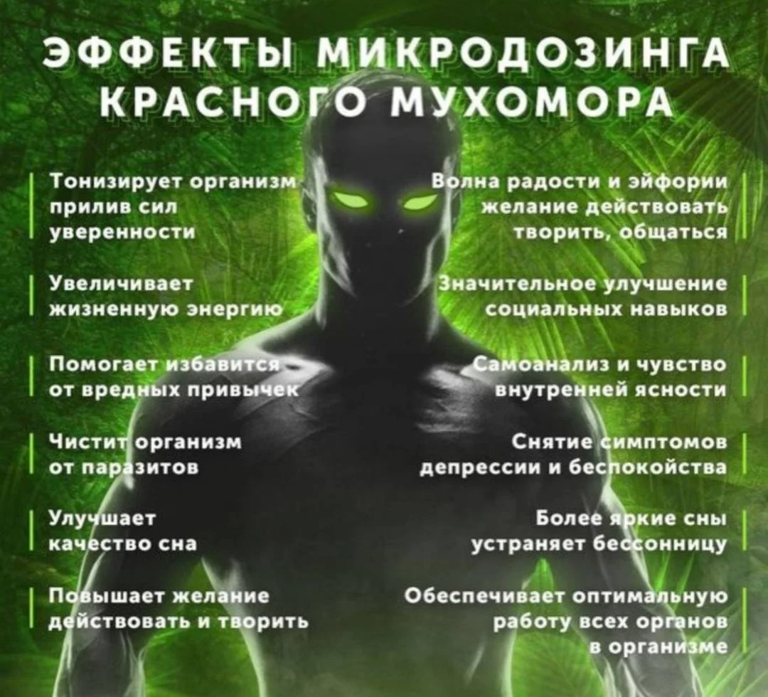 Мухоморы пантерные - изображение 1