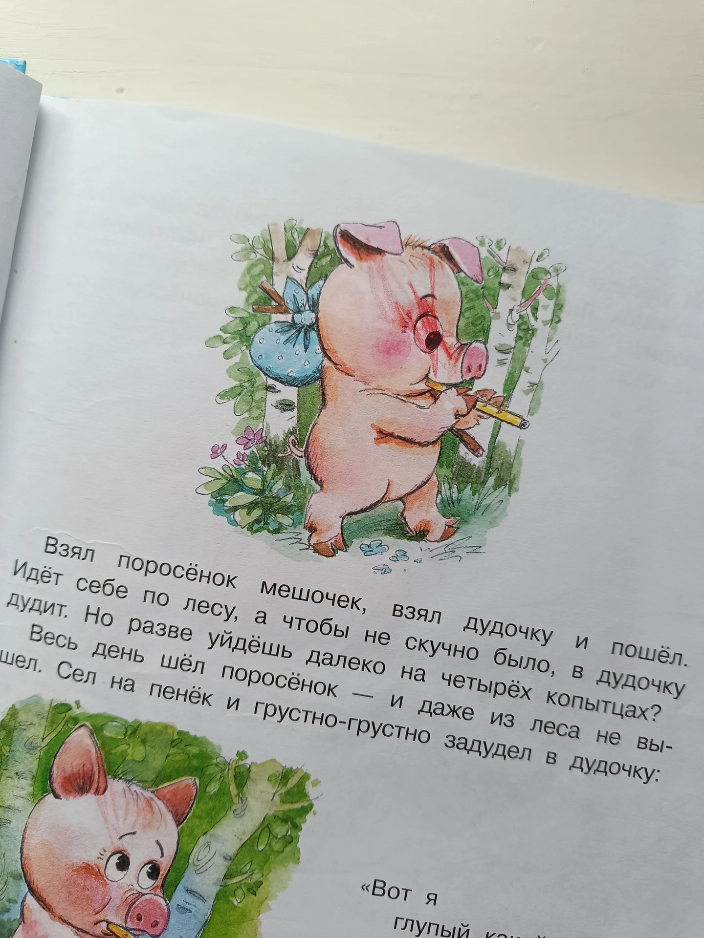 Книга сказок для детей Цыферов - миниатюра 5