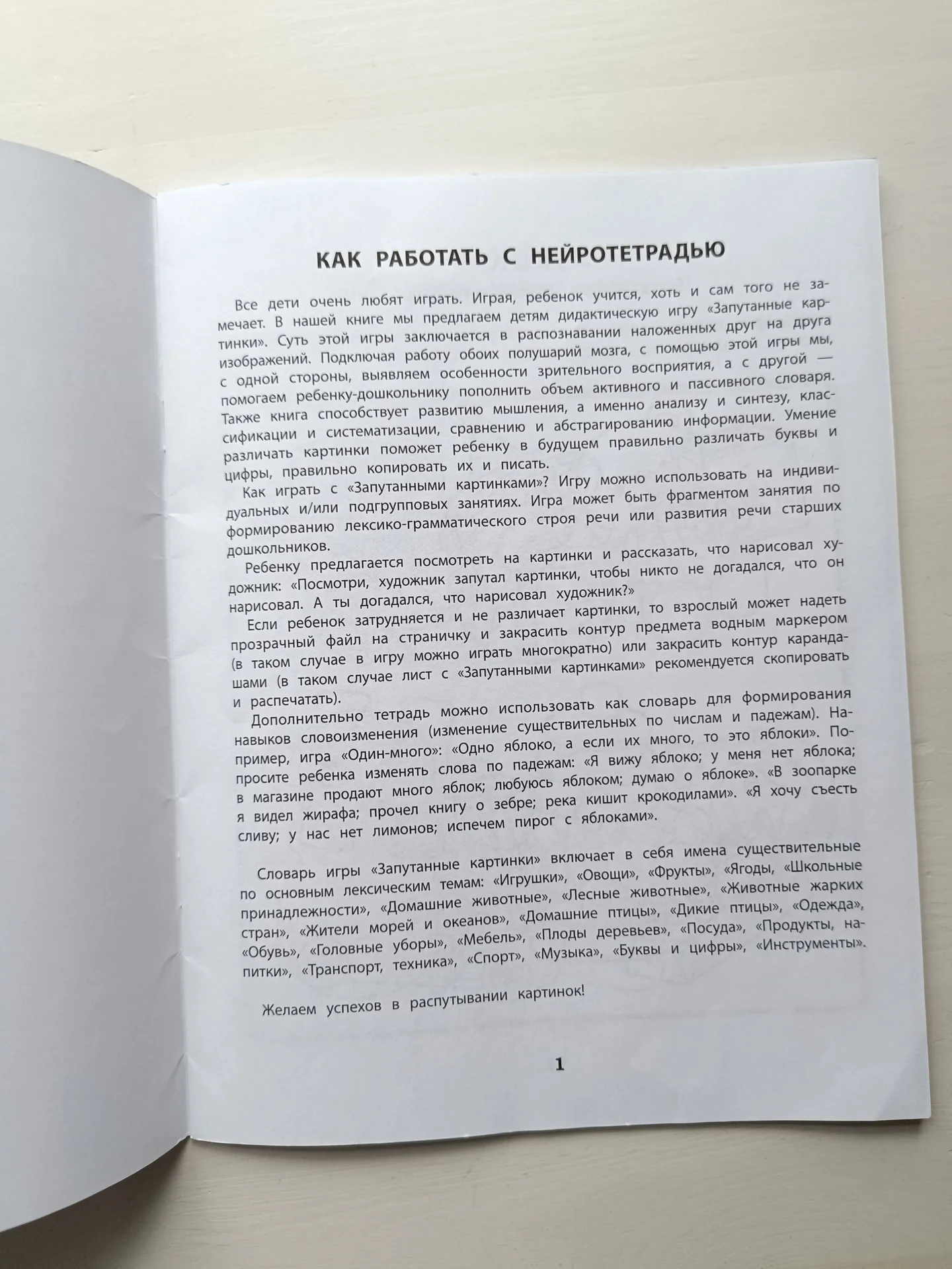 Рабочая нейро тетрадь для дошкольников - миниатюра 5