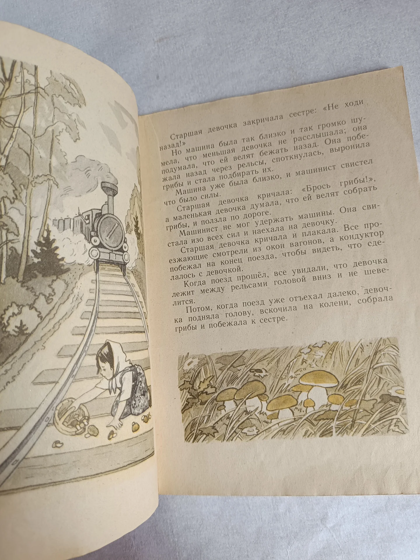 Прыжок книга тонкая детская Толстой - миниатюра 10
