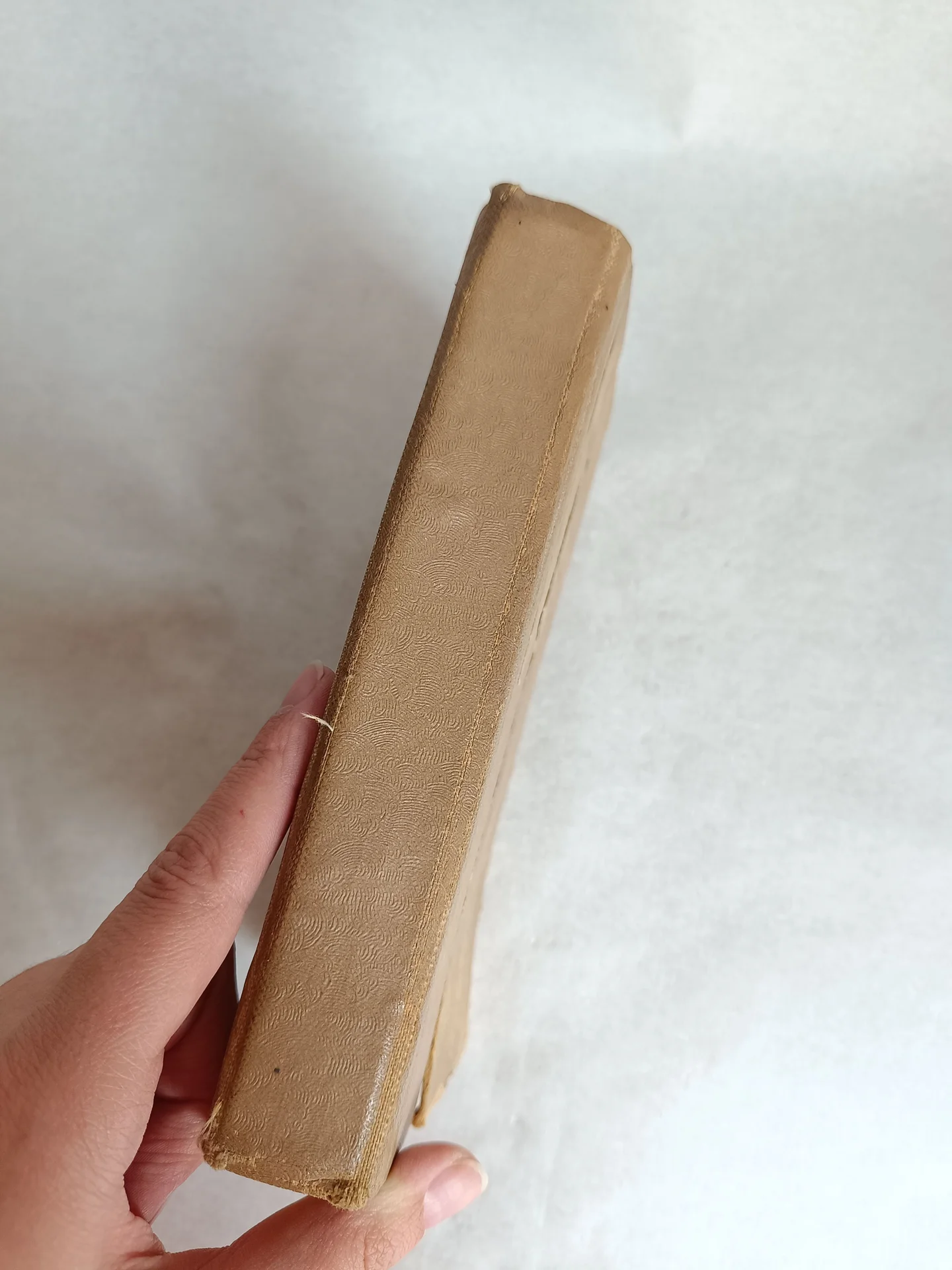Антикварная книга Охотники за каучуком - миниатюра 2