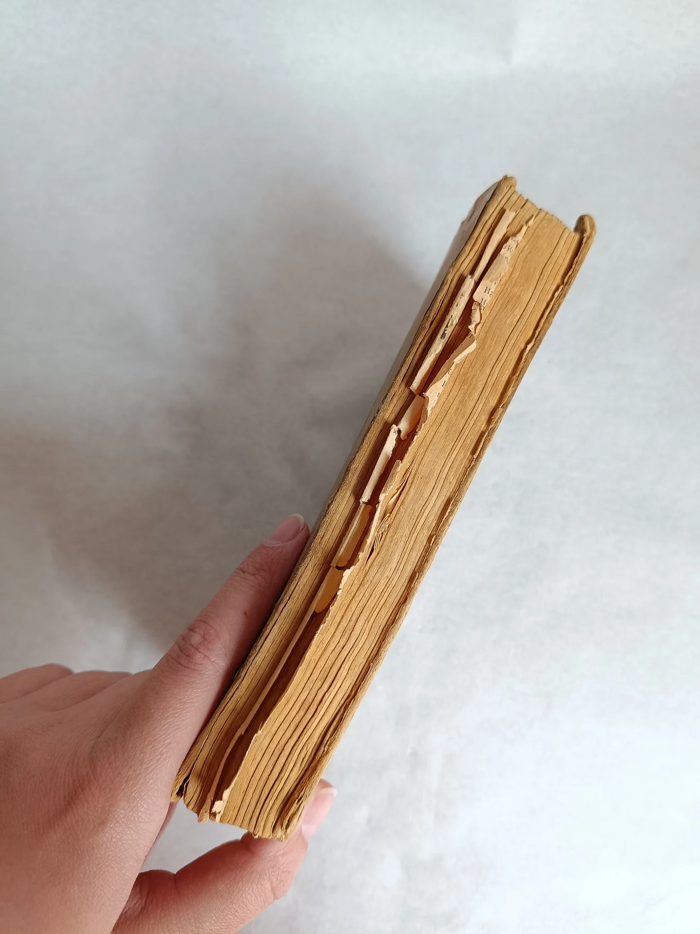 Антикварная книга Охотники за каучуком - миниатюра 3