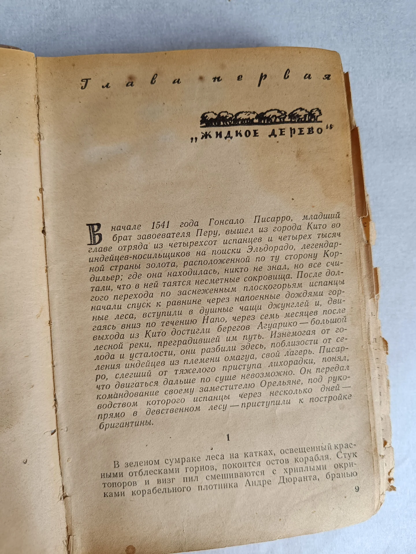 Антикварная книга Охотники за каучуком - миниатюра 8