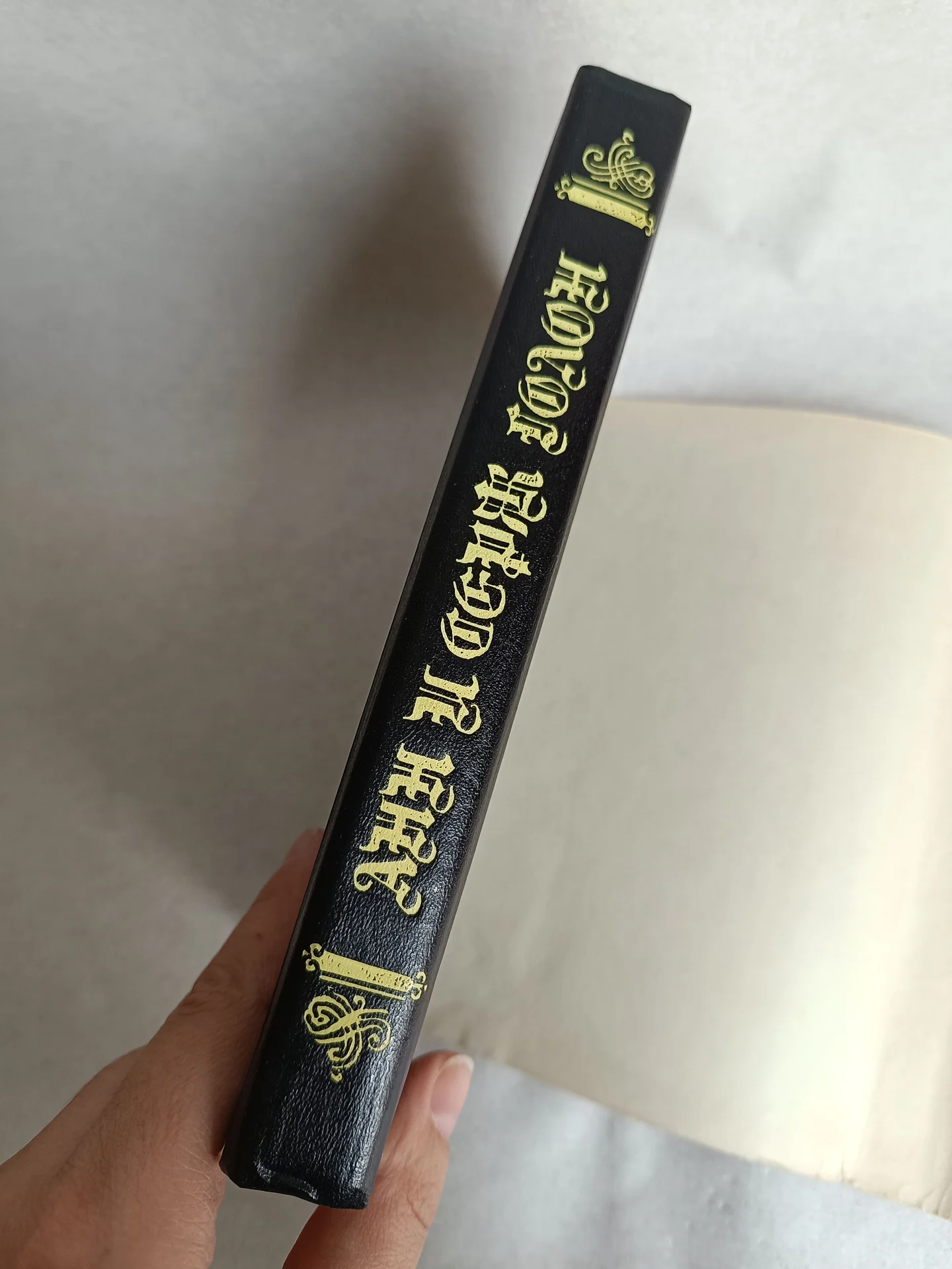 Книга Анжелика и заговор теней - миниатюра 6