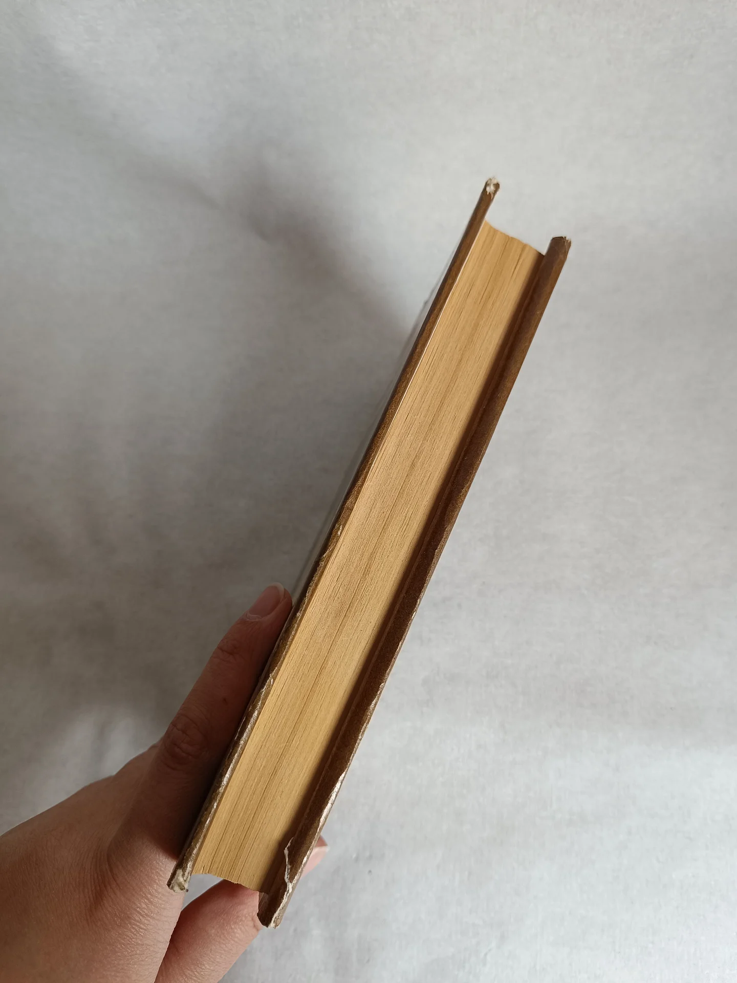 Книга Анжелика и заговор теней - миниатюра 7