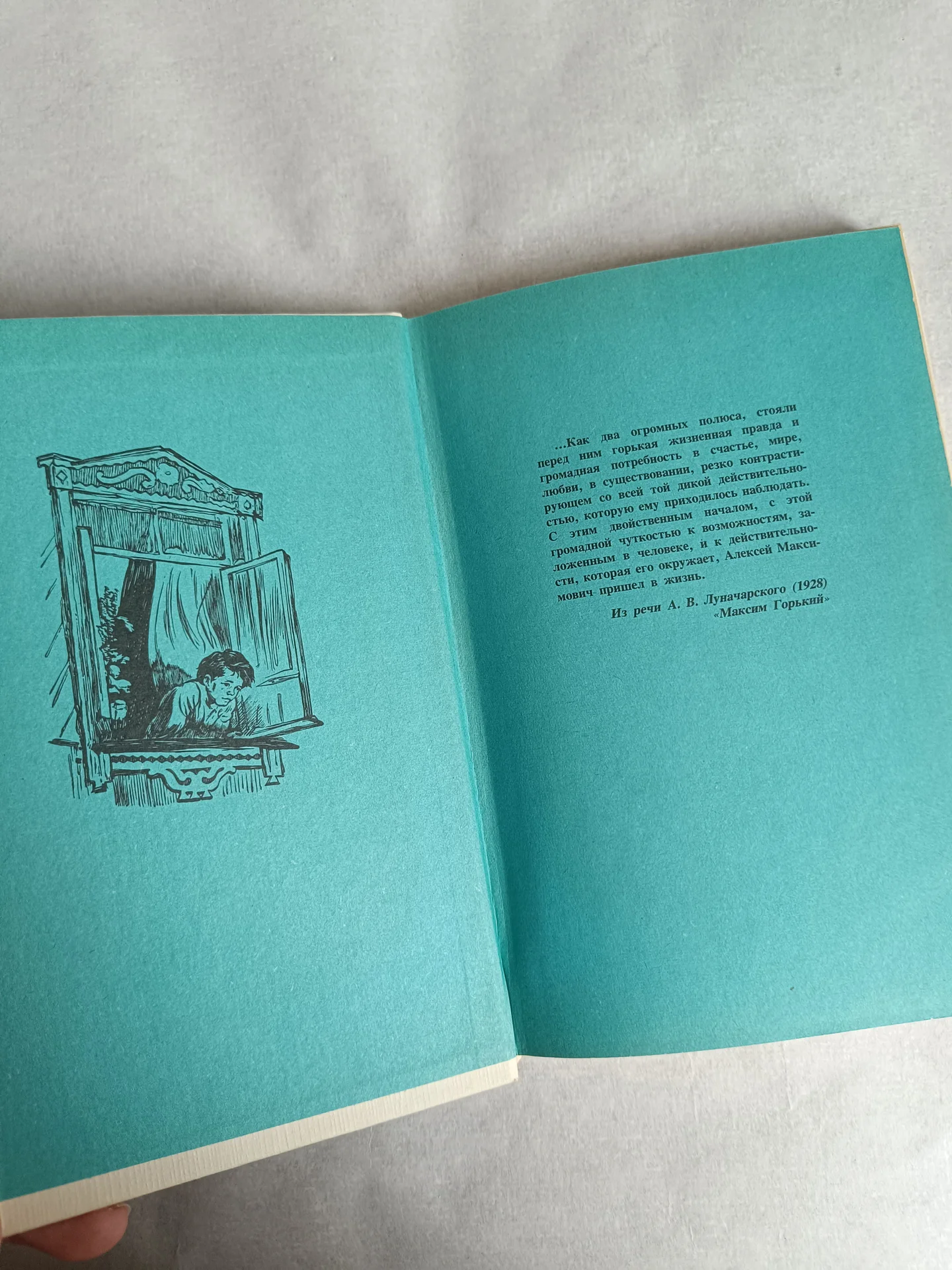Книга Горький Детство - миниатюра 4