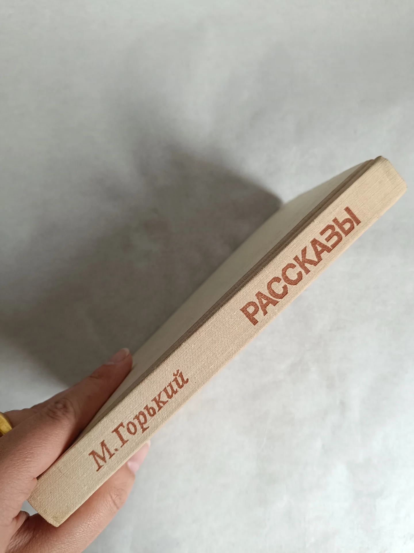 Максим Горький рассказы - миниатюра 6