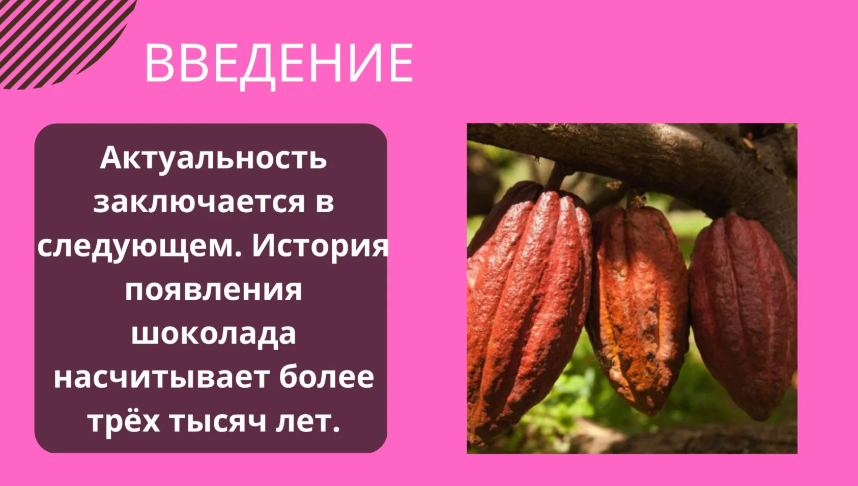 Школьные презентации, проекты и плакаты, рефераты - миниатюра 6