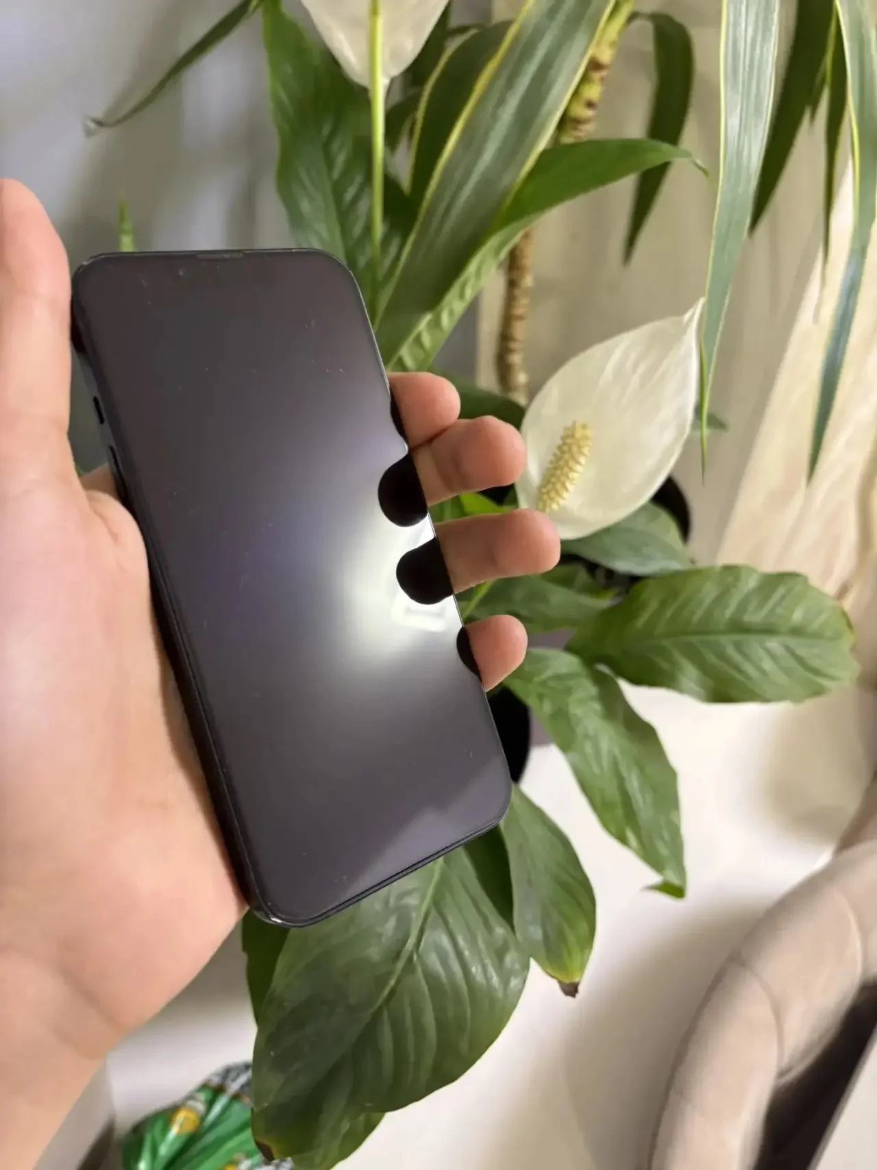 iPhone 13 - миниатюра 2