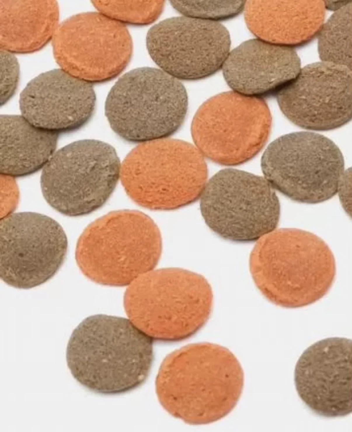 Tetra Wafer Mix корм таблетки чипсы для донных рыб - миниатюра 2