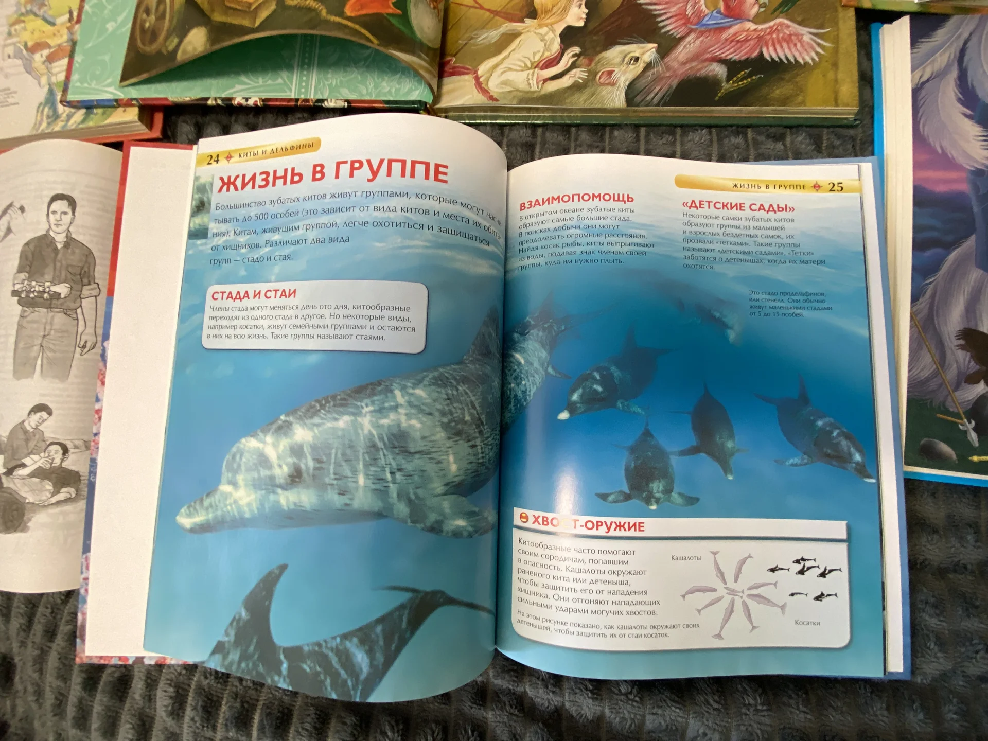 Книги для детей - миниатюра 9